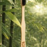 Bamboo Toothbrush