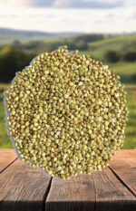 Kuttu Dana - Image 2